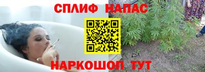 ешки Краснодар