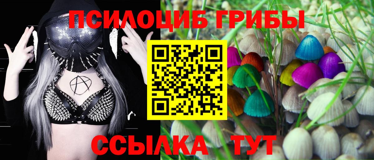 Галлюциногенные грибы мухоморы Холмск